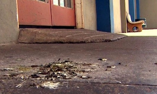 Infestação de pombinhos irrita e deixa um rastro de sujeira no Centro da cidade