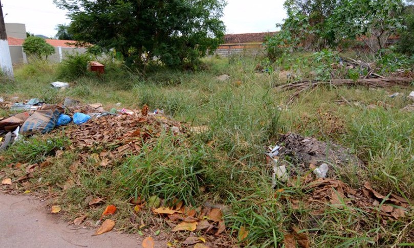 Vereador pede limpeza de praça e de área pública no Jardim Boa Esperança