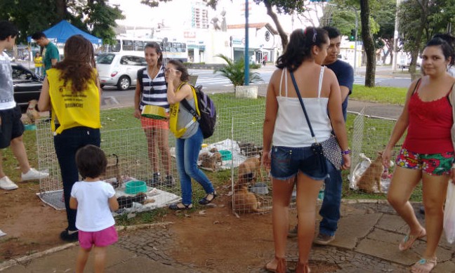 Dezenas de animais são adotados em feira neste sábado em Franca