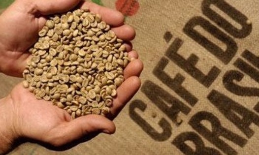 Exportações de café brasileiro crescem 2,5% 
em março, aponta Cecafé