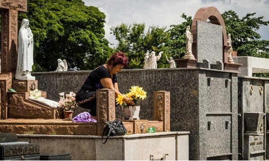 Prefeitura leiloa espaço em cemitérios para venda de flores no Dia das Mães