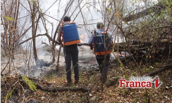 Região registra primeiras queimadas: negligência é a principal causa de incêndios