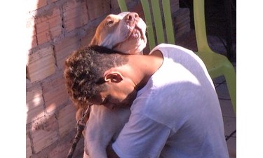 Bebê de 8 meses morre após ser mordido por cachorro pitbull da família