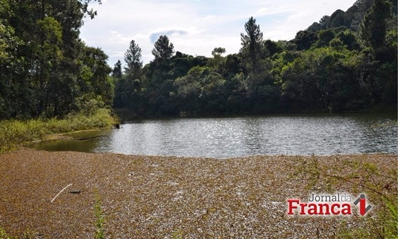 Floresta de Batatais poderá ser concedida à iniciativa privada: Alesp aprovou
