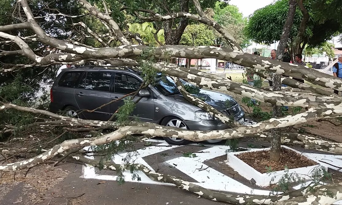 Árvore desaba e danifica carro Toyota estacionado em plena Avenida Chico Júlio