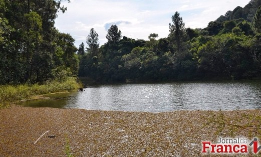 Lei que permite exploração nas Florestas de Batatais e Cajuru é sancionada