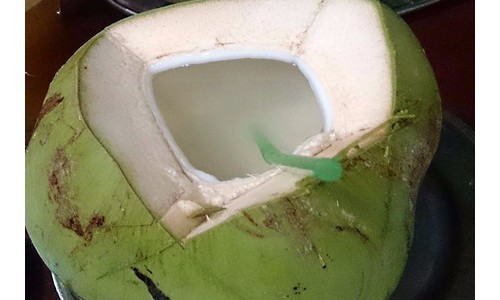 Cheia de benefícios e deliciosa, água de coco deve fazer parte do seu cardápio