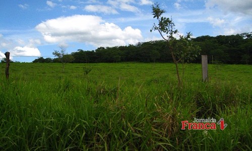 Criminosos invadem fazenda, aterrorizam vítimas e roubam uma Tritton L 200