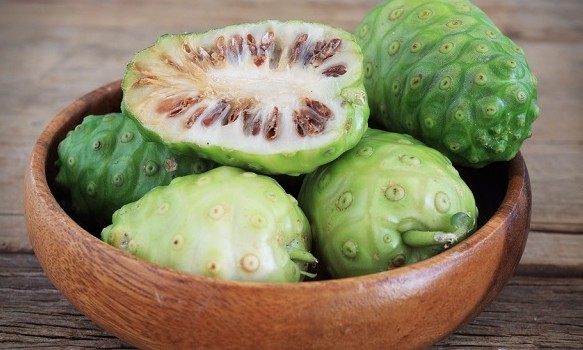 Chá de Noni é ótimo para emagrecer e curar doenças respiratórias e cardíacas