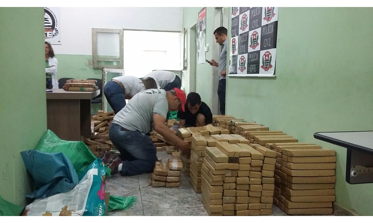 Dise faz a maior apreensão de maconha da história de Franca. 780 quilos