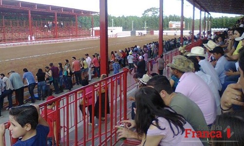 Defesa Agropecuária libera tropa de Ribeirão e cavalos reforçam times na reta final