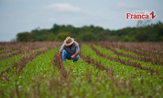 Imposto sobre Propriedade Territorial Rural deve ser pago até hoje (30)