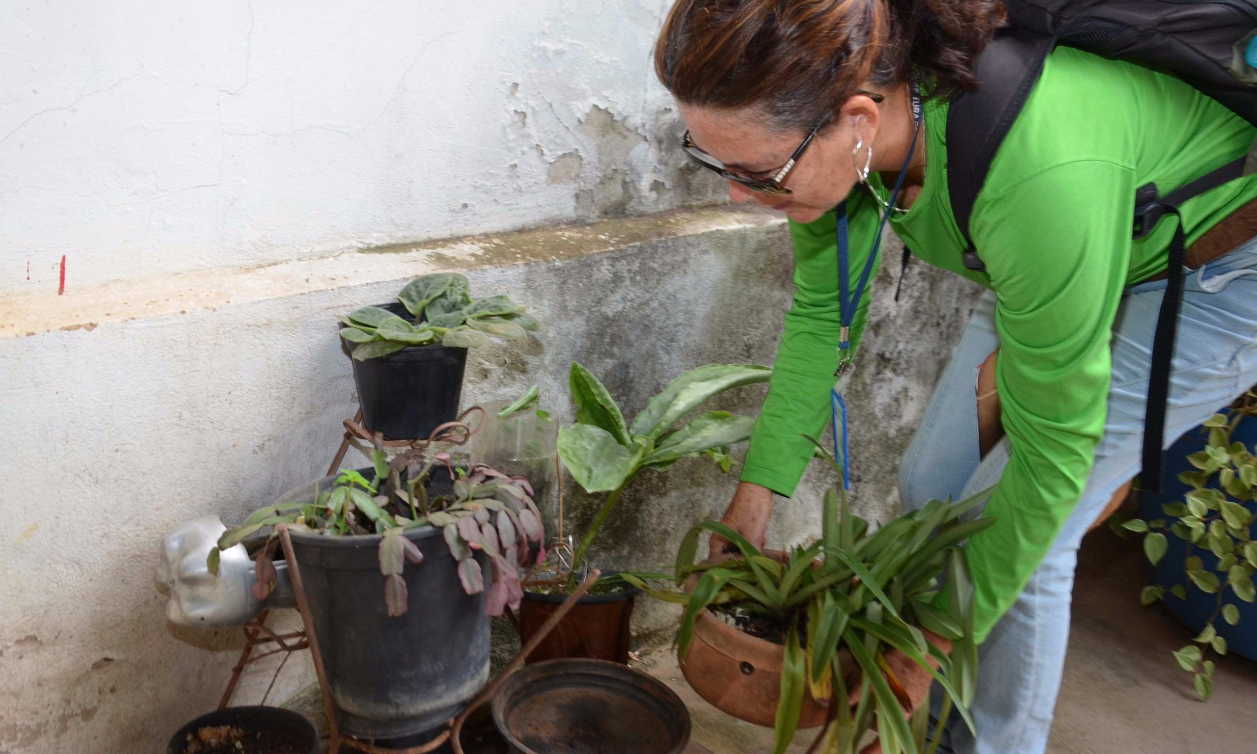 Com Primavera, Vigilância Ambiental reforça ações preventivas à dengue