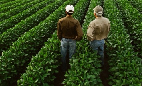 Faesp começou a fazer o
Cadastro das Unidades de
Produção Agropecuária