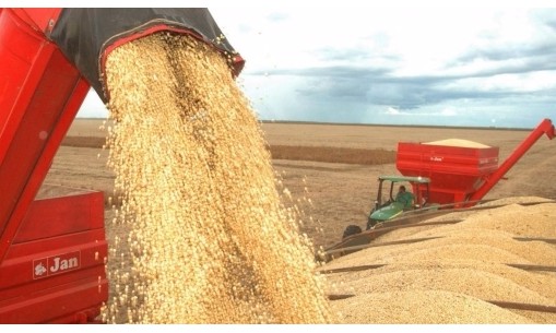 IBGE prevê safra 12,3%
menor e produção de
183,9 milhões de toneladas