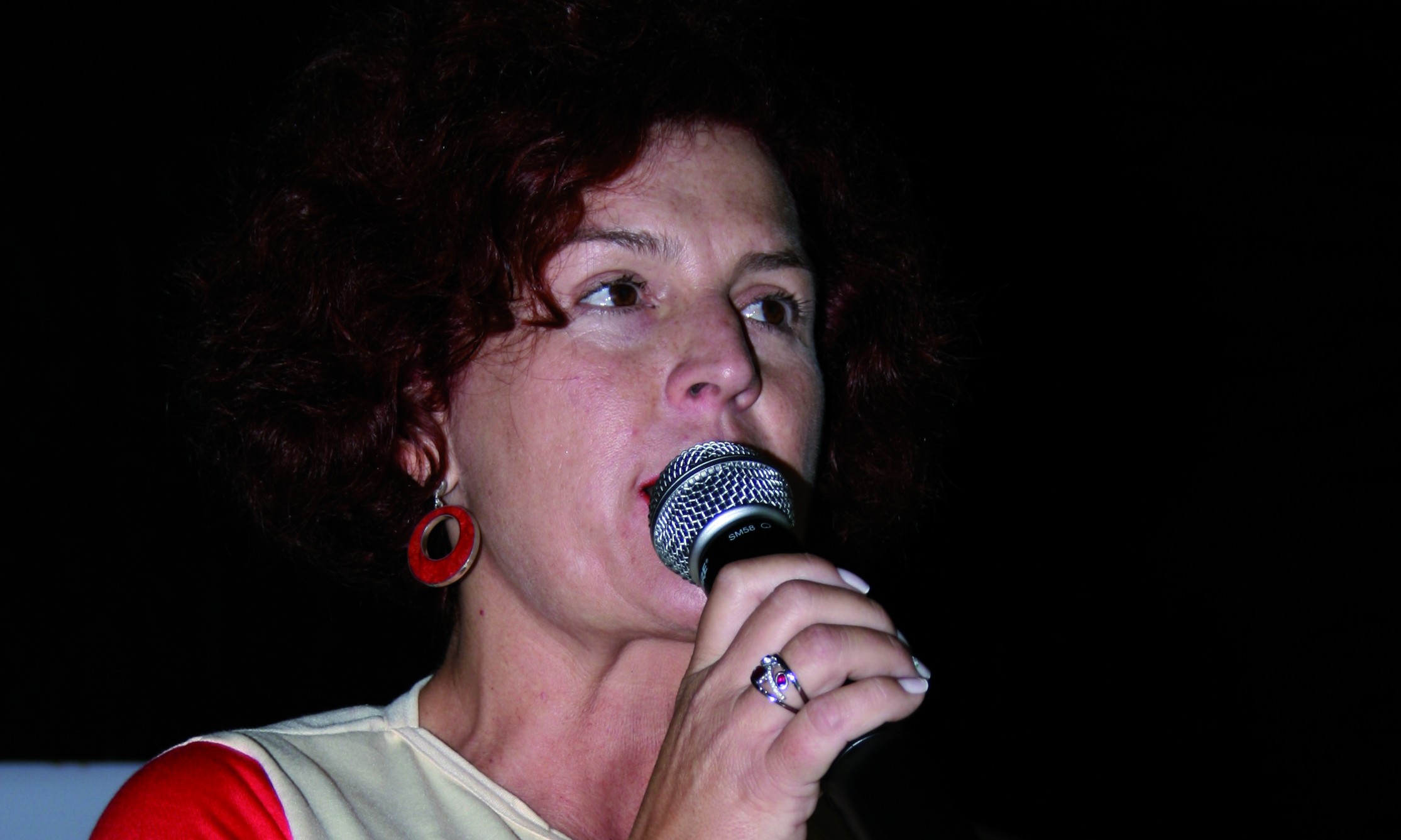 Empresária Flávia Lancha confirma apoio ao democrata Gilson de Souza