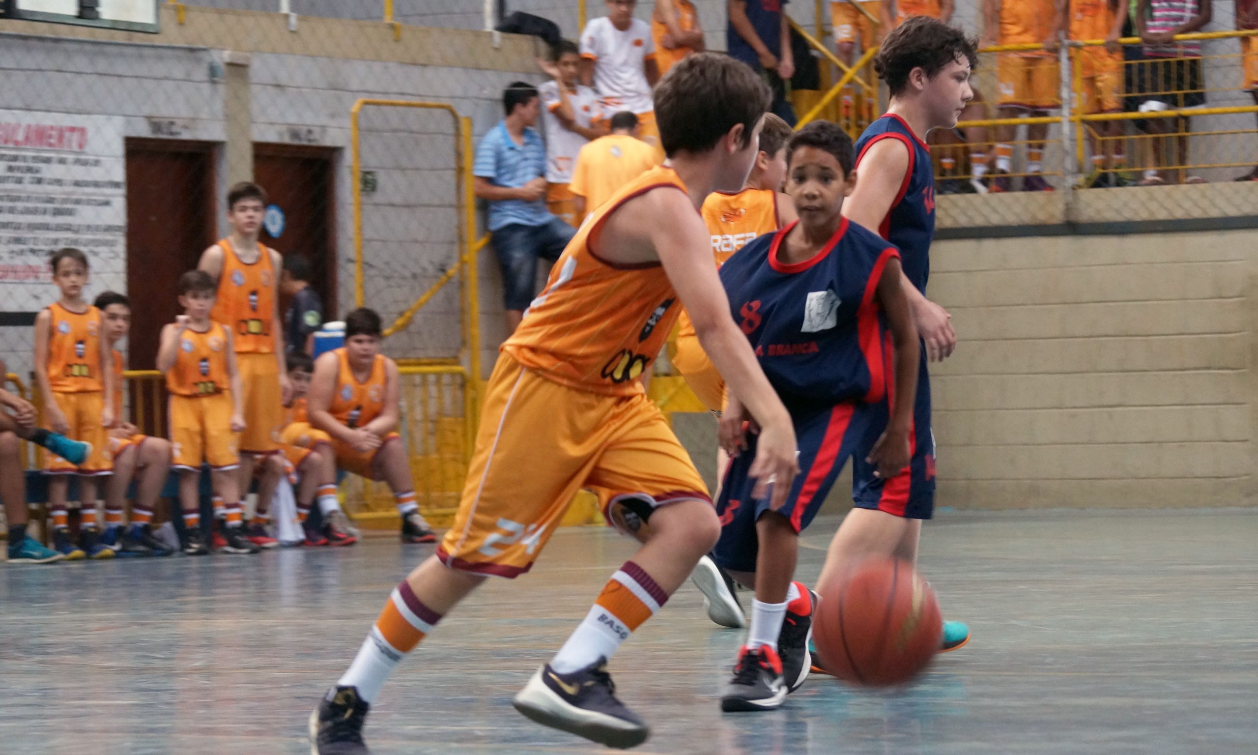 Basquete: Casa Branca vence nas duas categorias e elimina francanos
