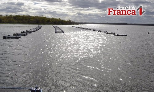 Agricultura anuncia critérios para lista de espécies de peixes cultiváveis no Estado