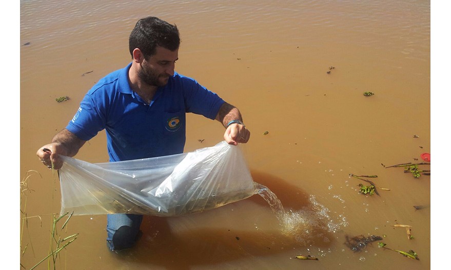 Empresa vai soltar 50 mil peixes em reservatórios na região de Franca
