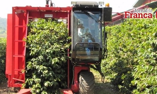 Produção de café cresce 18,8% em 2016 e atinge 51,37 milhões de sacas