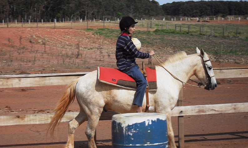 Cavalos utilizados em sessões de Equoterapia foram furtados na região