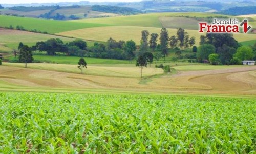 Certificado de Cadastro de Imóvel Rural pode ser pago sem multas até sábado (14)