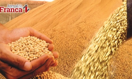 Workshop em Ribeirão discute volume e qualidade da produção de soja