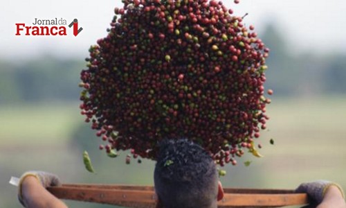 Vendas de estoques de café garantem renda ao produtor em 2016