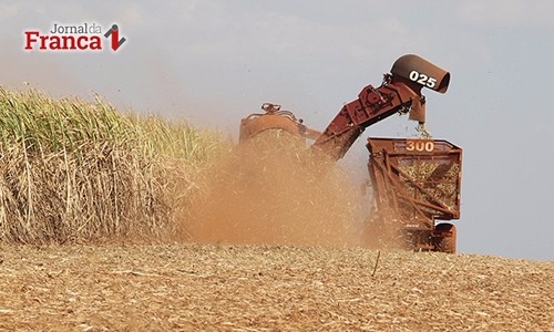 Produção quinzenal de açúcar e etanol cai neste final de safra 2016-2017