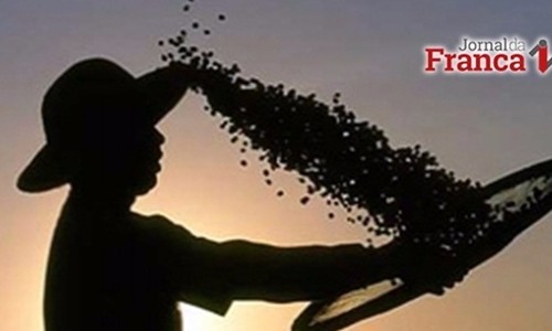 Safra de café em 2017 será menor que no ano anterior, estima Conab