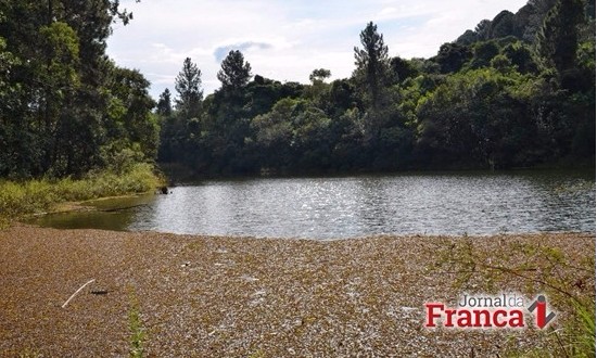 Estado de SP quer vender 34 áreas florestais, entre as quais a de Batatais