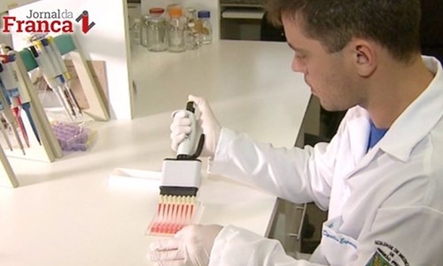 Alerta para casos da gripe chikungunya que devem voltar a subir neste ano