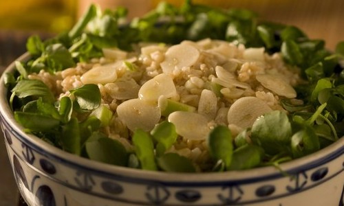 Salada light de trigo com maçã e alho é opção levinha e saborosa para o calor