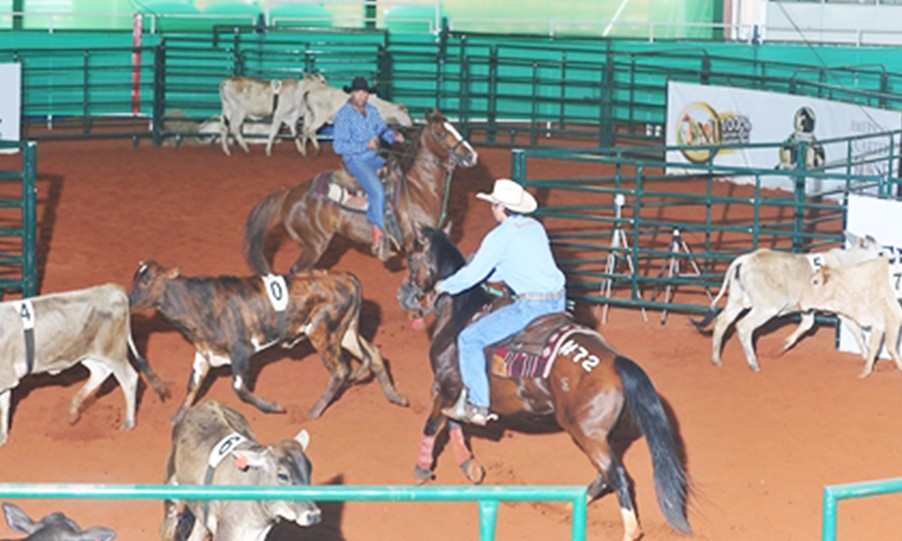 Prova de Ranch Sorting será realizada dia 14 de maio dentro da 48ª Expoagro