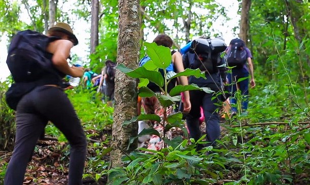 Fazer trilhas a pé na natureza atrai cada vez mais pessoas pelos benefícios