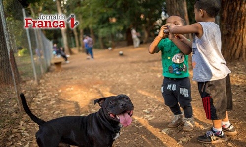Francano também ignora leis estadual e municipal de focinheira para cães