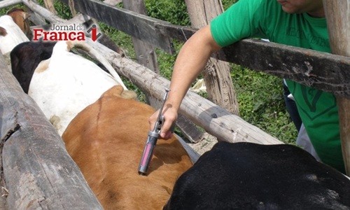 Brasil é primeiro a aderir a banco de vacinas contra febre aftosa