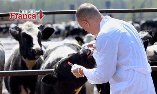 Concursos do Ministério da Agricultura vão oferecer até 600 vagas