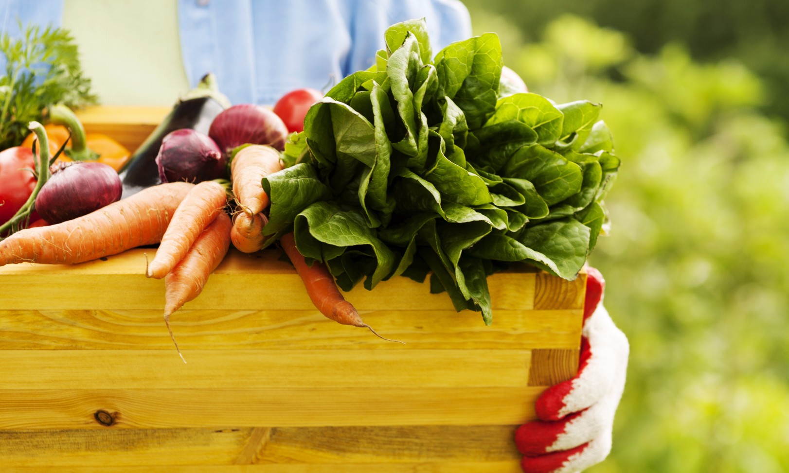 Alimentos orgânicos são opção de vida saudável; saiba porque consumi-los