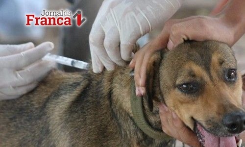​Vacinação antirrábica gratuita será de 14 a 18 de agosto em Rifaina
