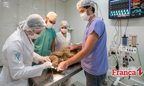 Seis cidades do Interior de SP terão mais 430 vagas em cursos de Medicina