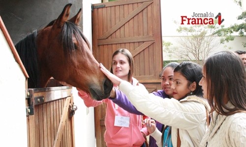 Projeto apresenta curso de Medicina Veterinária a alunos de Etecs da região