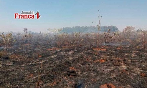 Incêndio criminoso consome 34 hectares de mata na Floresta de Batatais