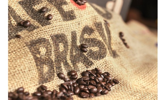 Preço do café oscila quase 2% em Franca e saca foi vendida a R$ 520,00
