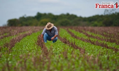 Prazo para entrega de declaração de propriedades rurais termina hoje