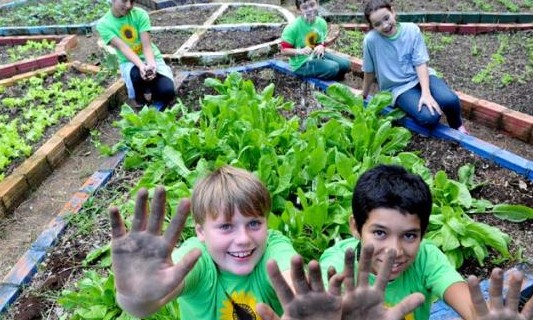 Escola Lydia Rocha, de Franca, transforma horta em espaço de ensino