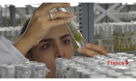 Competição na USP busca soluções em biotecnologia durante quatro dias