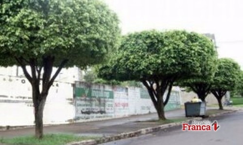 Meio Ambiente da Prefeitura de Rifaina inicia projeto “Adote uma Árvore”