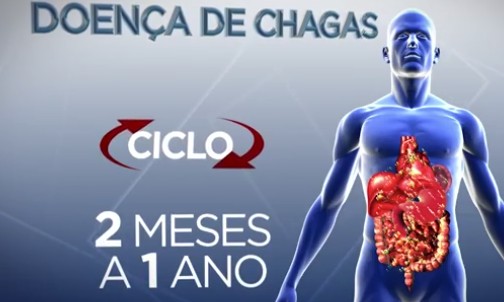 Passos e S. S. do Paraíso têm mais casos de Doença de Chagas no Sul de MG