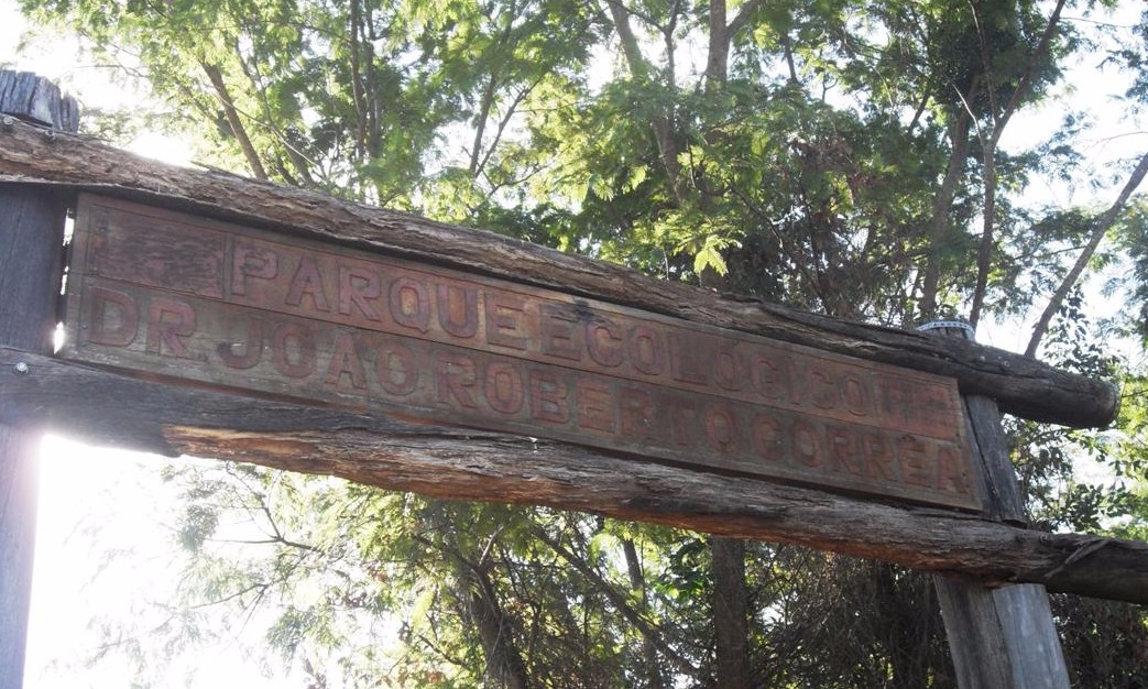 ​Madeiras de podas de árvores são reutilizadas em placas e peças artísticas